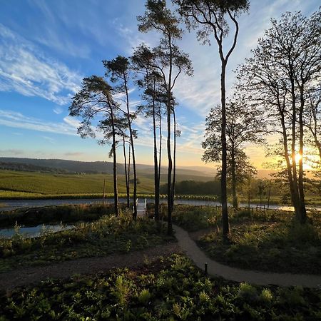 Loisium Wine & Spa Hotel Champagne Mutigny Экстерьер фото