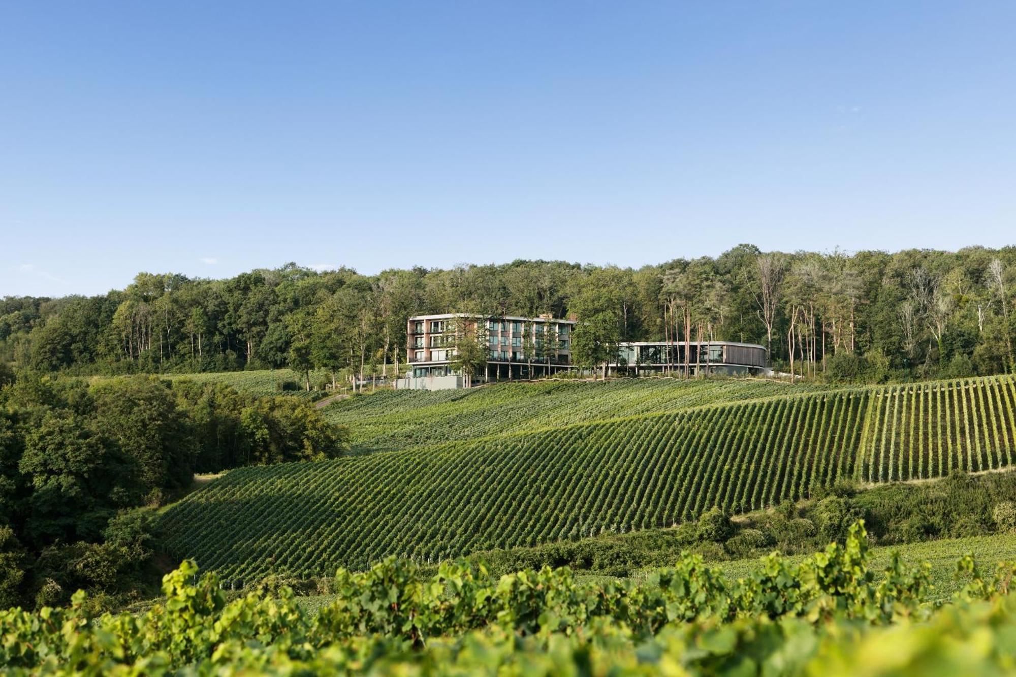 Loisium Wine & Spa Hotel Champagne Mutigny Экстерьер фото